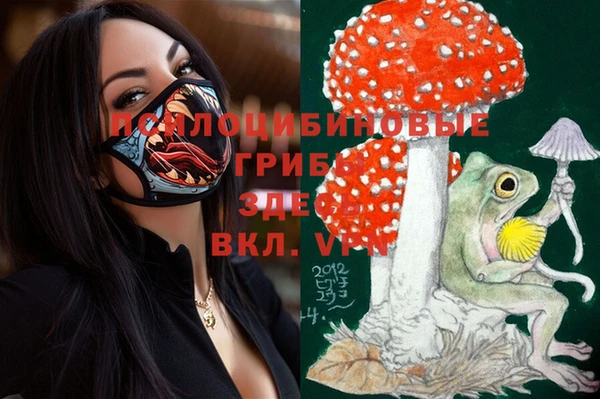 винт Алексин