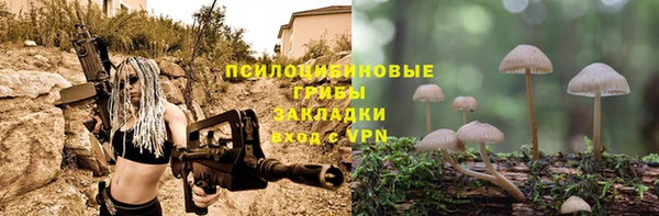 винт Алексин