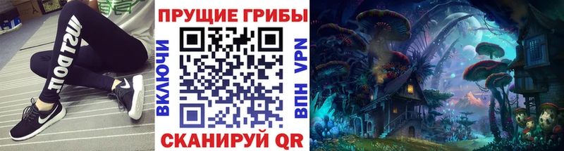 Псилоцибиновые грибы мухоморы  дарнет шоп  Долинск 